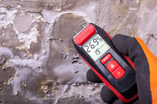 Best Mold Damage Repair  in Rotan, TX